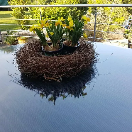 Appartement Business - Sonnig, Zentral & Ruhig