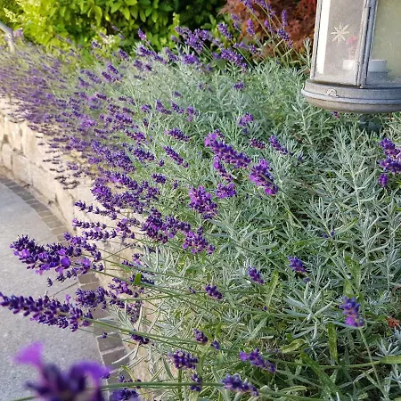 Business - Sonnig, Zentral & Ruhig Ravensbourg