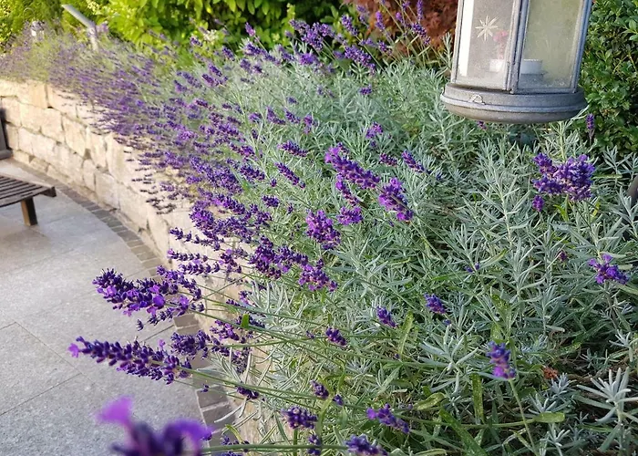 Business - Sonnig, Zentral & Ruhig Ravensburg